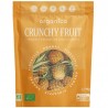 ANANAS CRUNCHY FRUIT BIO - 100% ananas biologiques lyophilisées