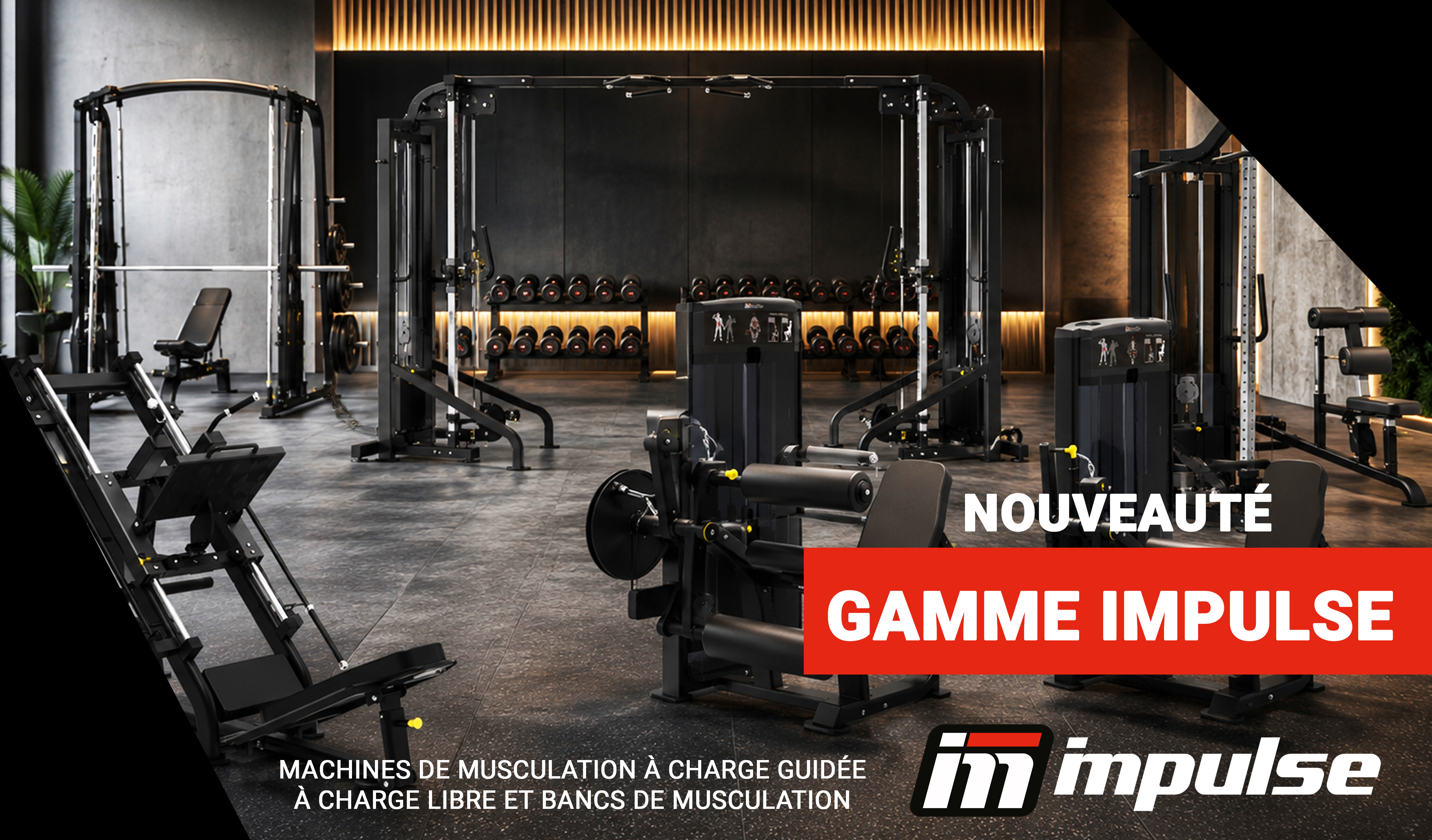 GAMME IMPULSE - MACHINES DE MUSCULATION & BANCS